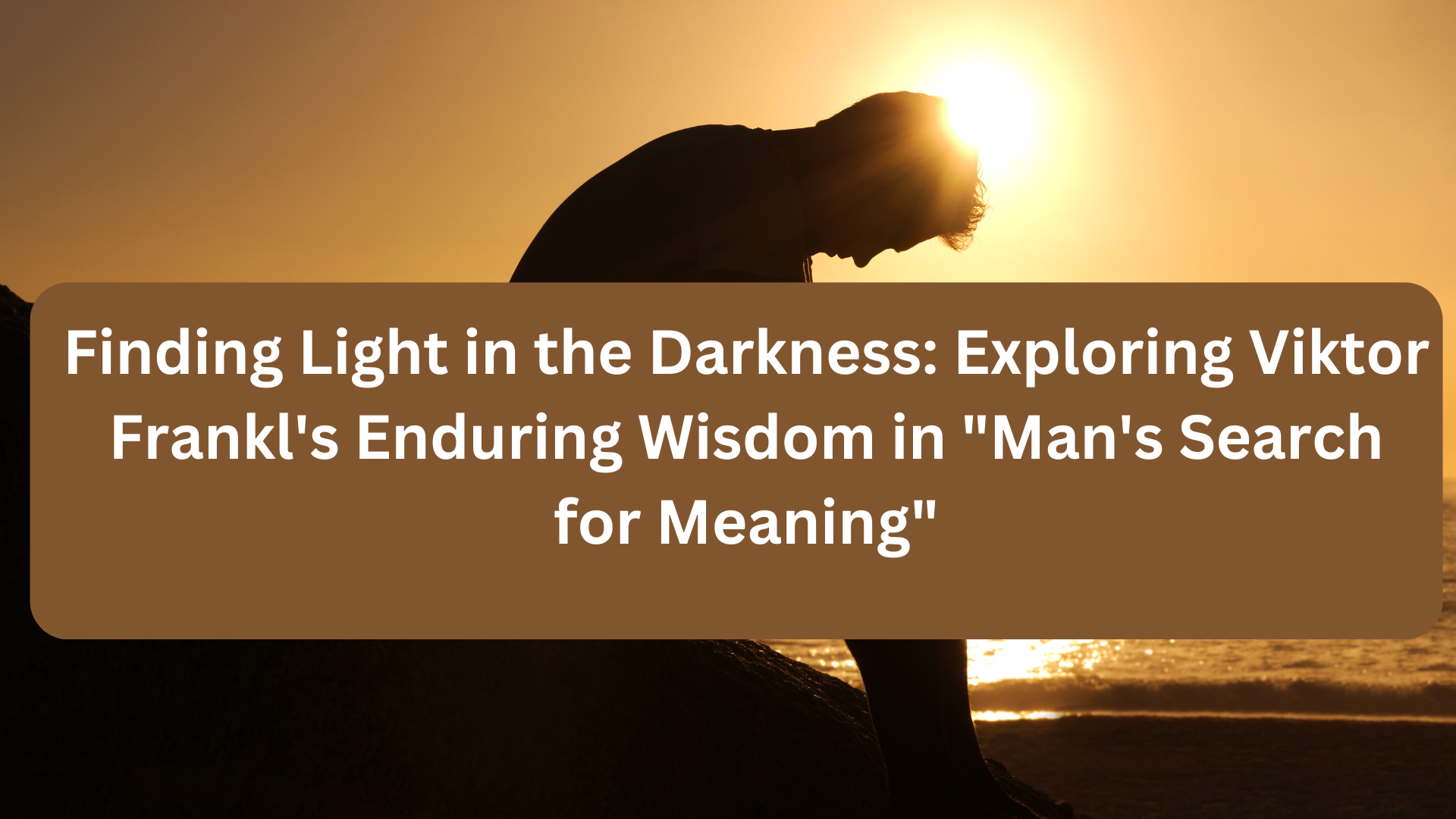 Finding Light in the Darkness: Exploring Viktor Frankl's Enduring Wisdom in "Man's Search for Meaning" | febylunag.com