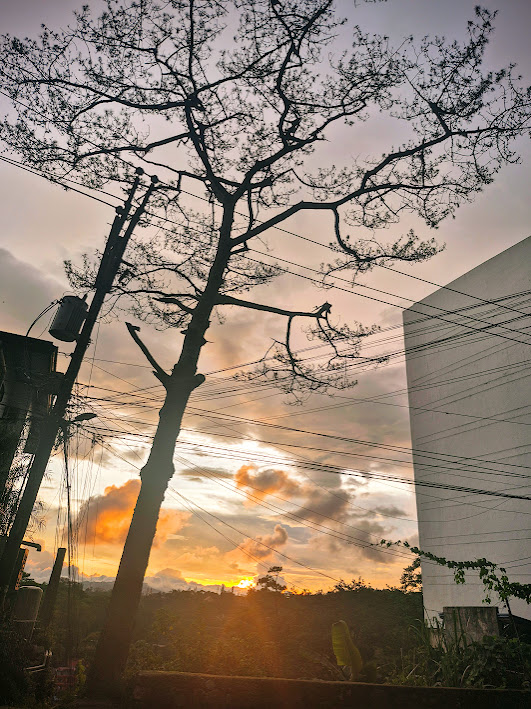 South Drive: Baguio's Scenic Haven of History and Charm - febylunag.com